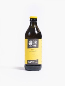 Docteur Gab's Tempête * Obergärig hell 33cl Car x24