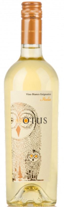 Asio Otus Vino Bianco Amabile * 75cl Car x6