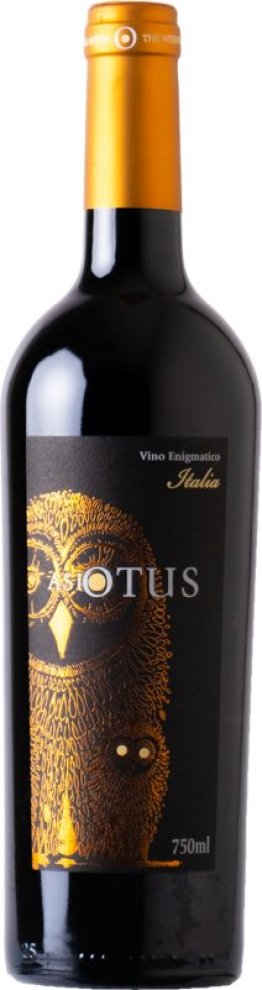 Asio Otus Vino Rosso Amabile Mondo del Vino 75cl Car x6