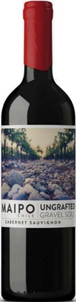 Cabernet Sauvignon Ungrafted DO Maipo De Martino 75cl Car x6