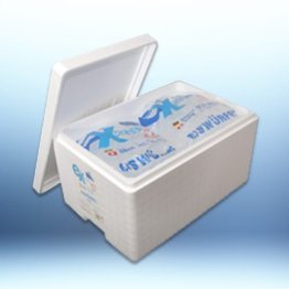 Kühlbox einweg für bis zu 20 Kg Eis (ohne Eis / Box ohne Rücknahme) Stk