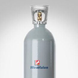 Protadur E 290 (7.5 kg) (ersetzt Aligal Nr. 2) Gas