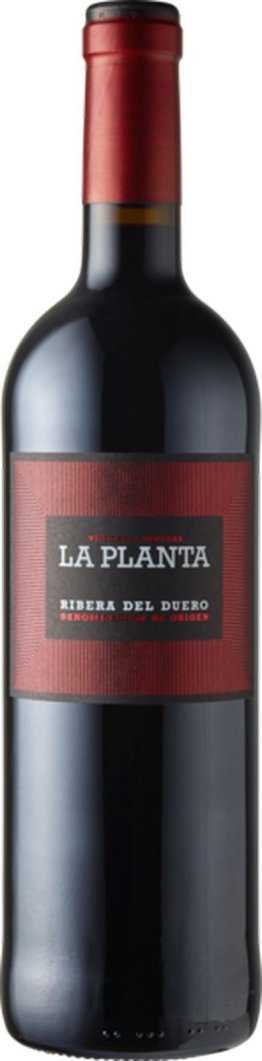 Ribera del Duero D.O. La Planta Bodegas Arzuaga Navarro 75cl Car x6