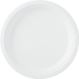 Teller Bagasse 26 cm weiss kompostierbar * Car x8